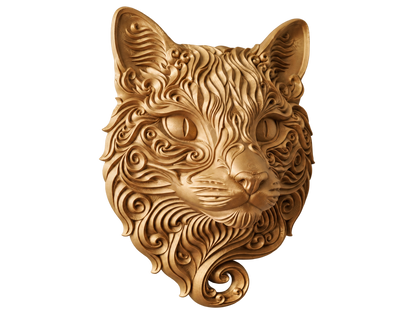 Gelockte Katze