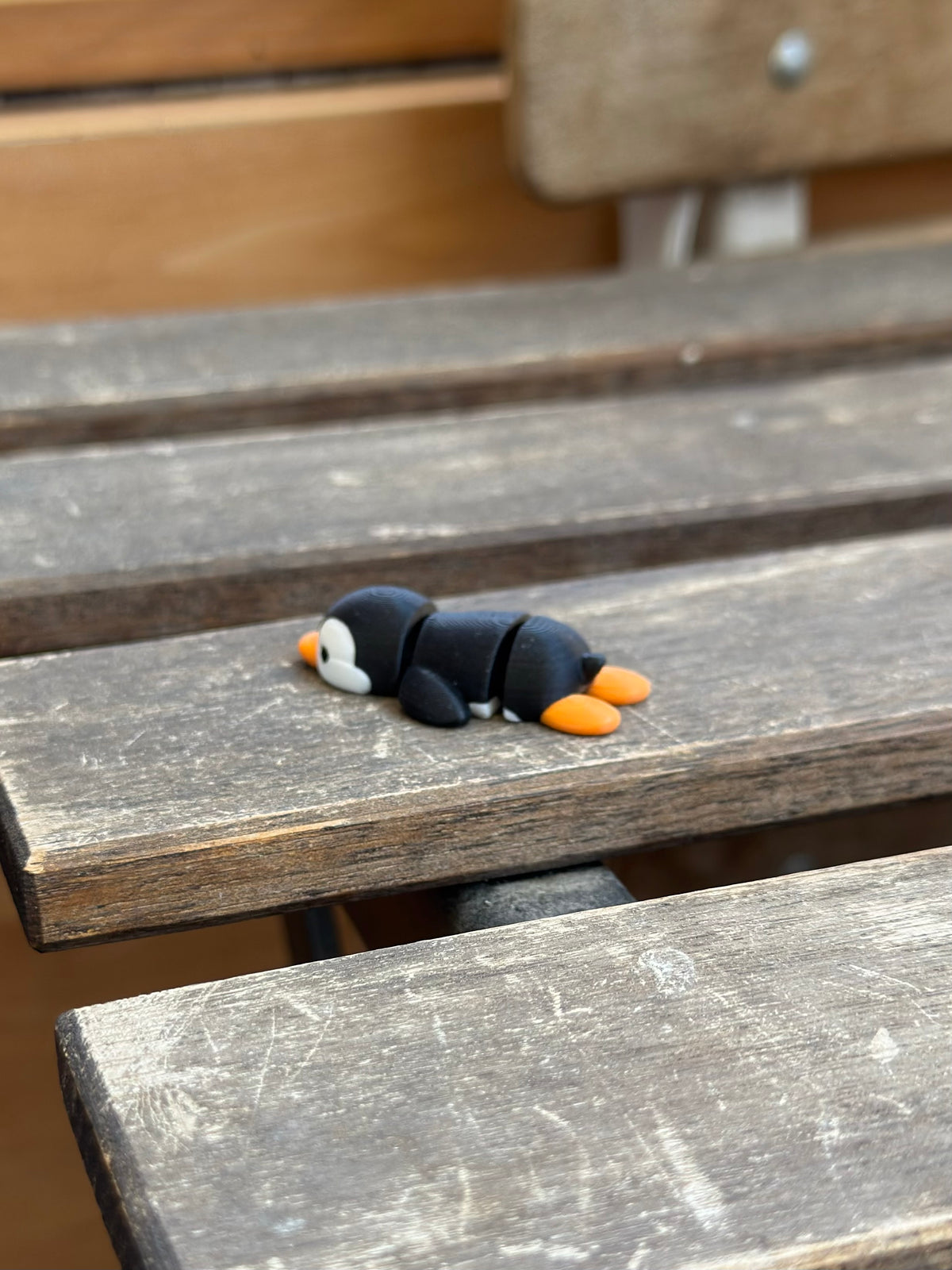 Cangüi Pinguin