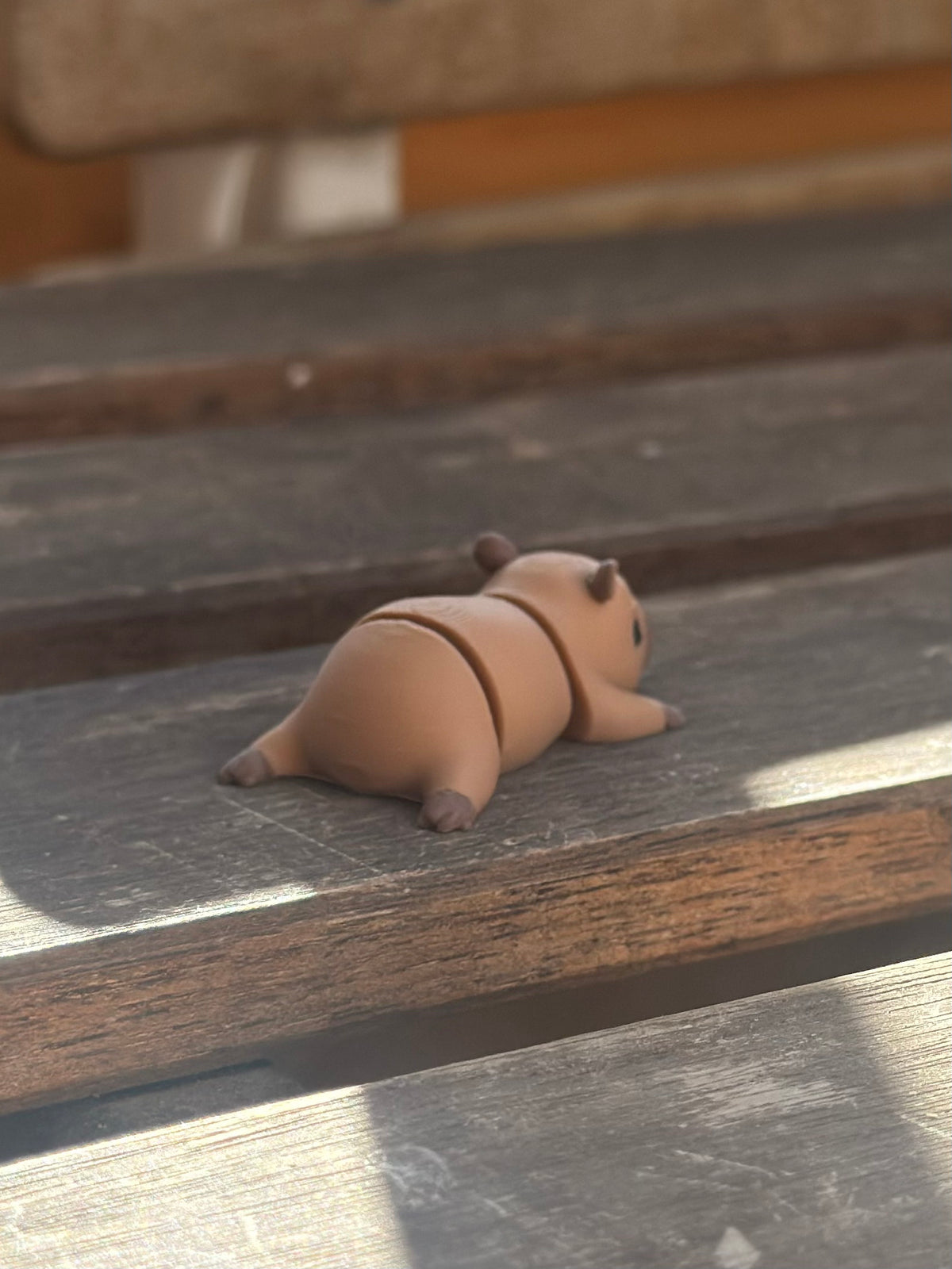 Capper Capybara