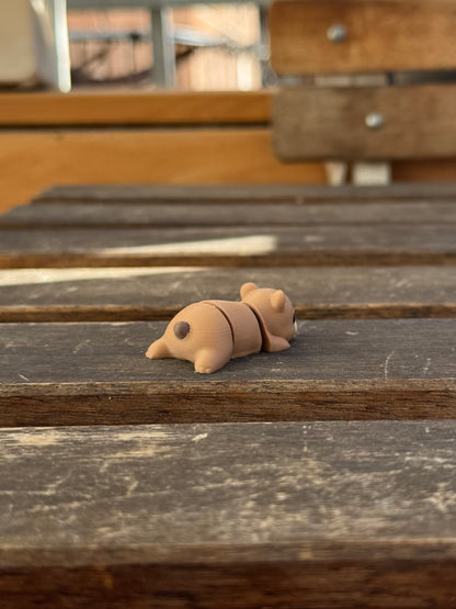 Bram Bär