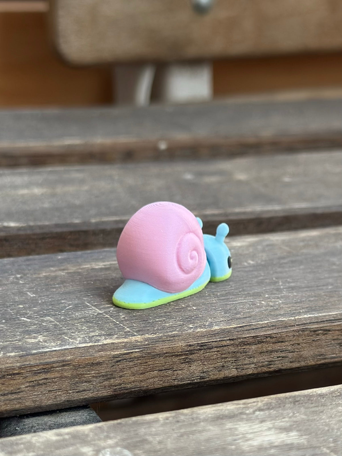 Shelbo Schnecke