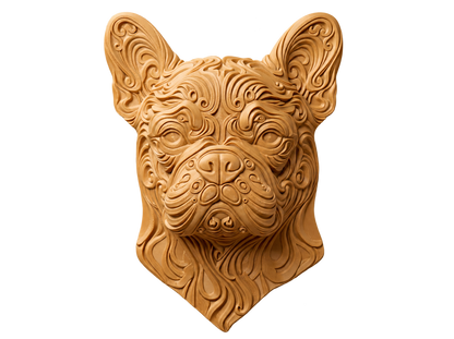 Französische Bulldogge II