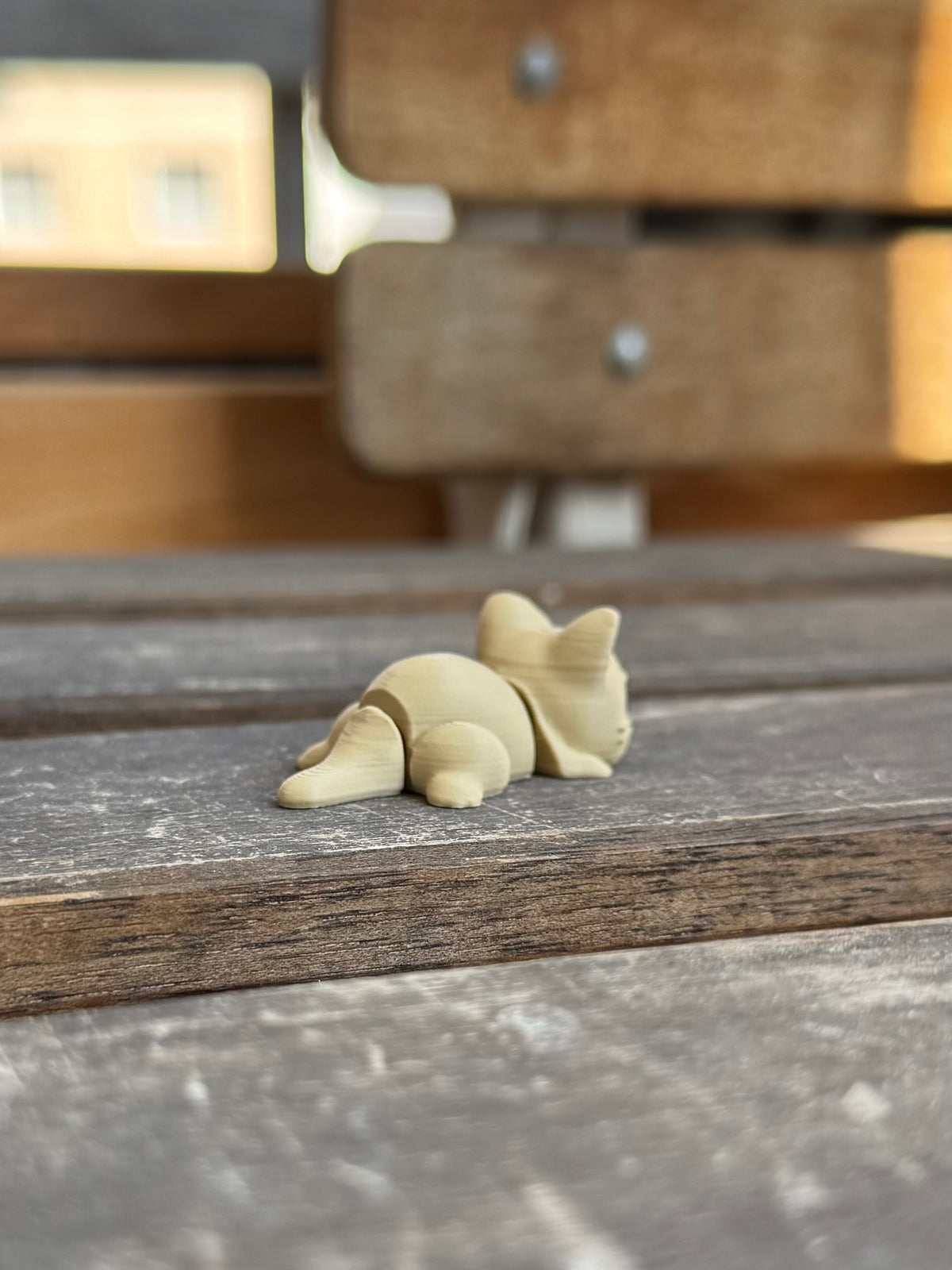 Miso Katze