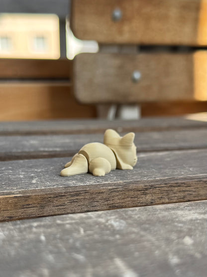 Miso Katze