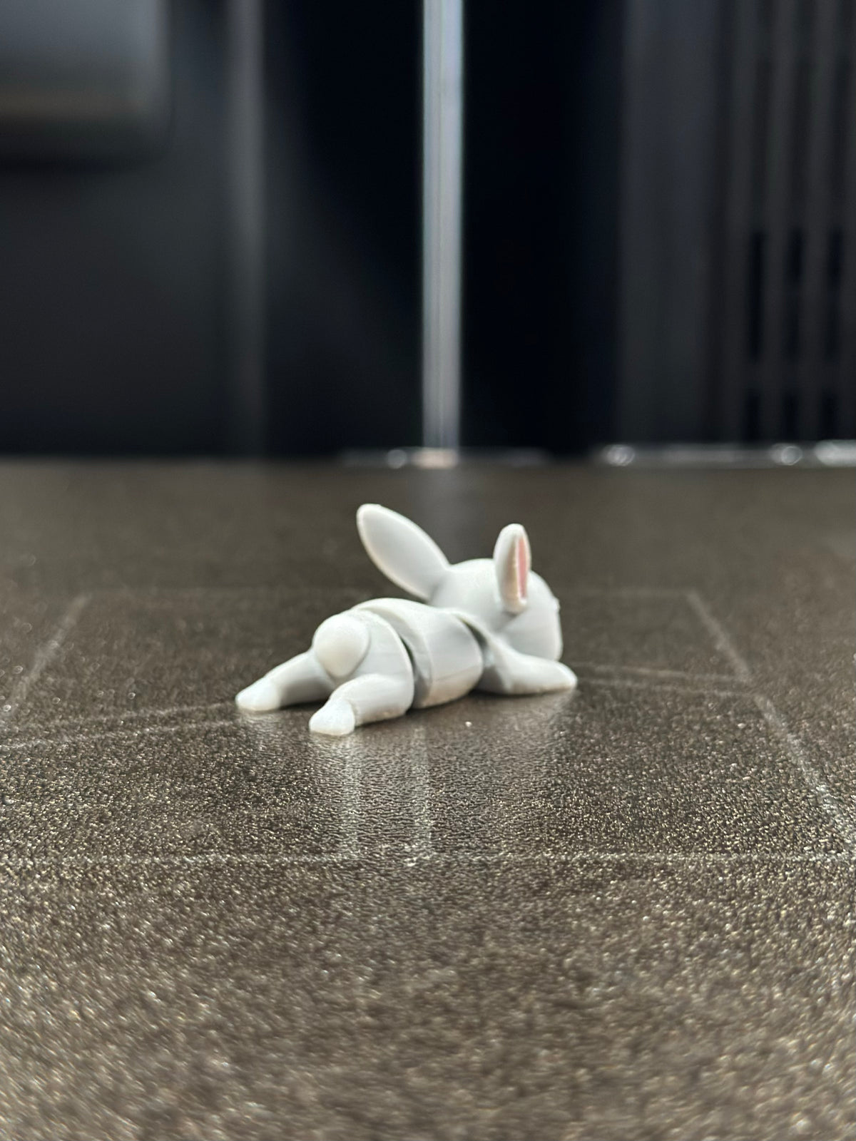 Pompon Hase
