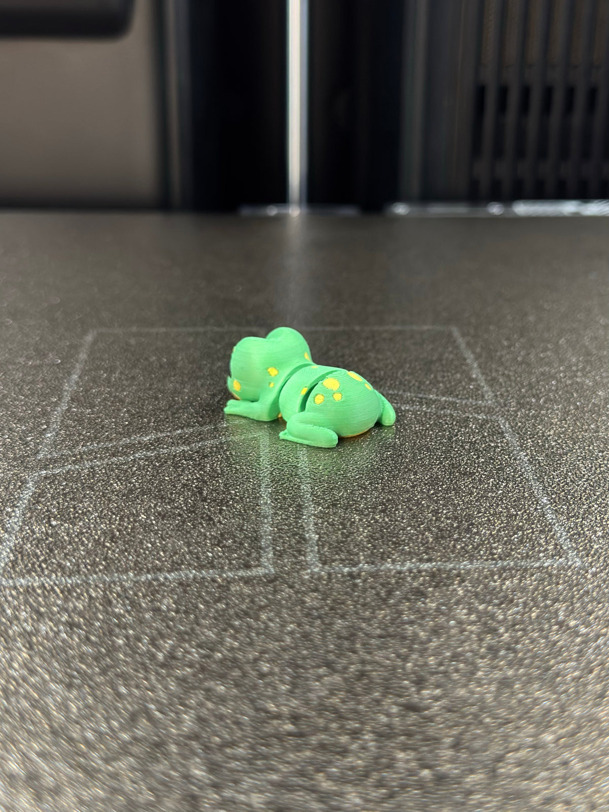 Yampi Frosch