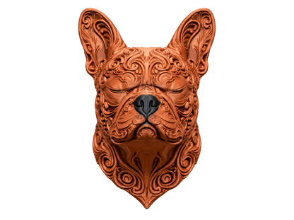 Pazifischer Bulldog