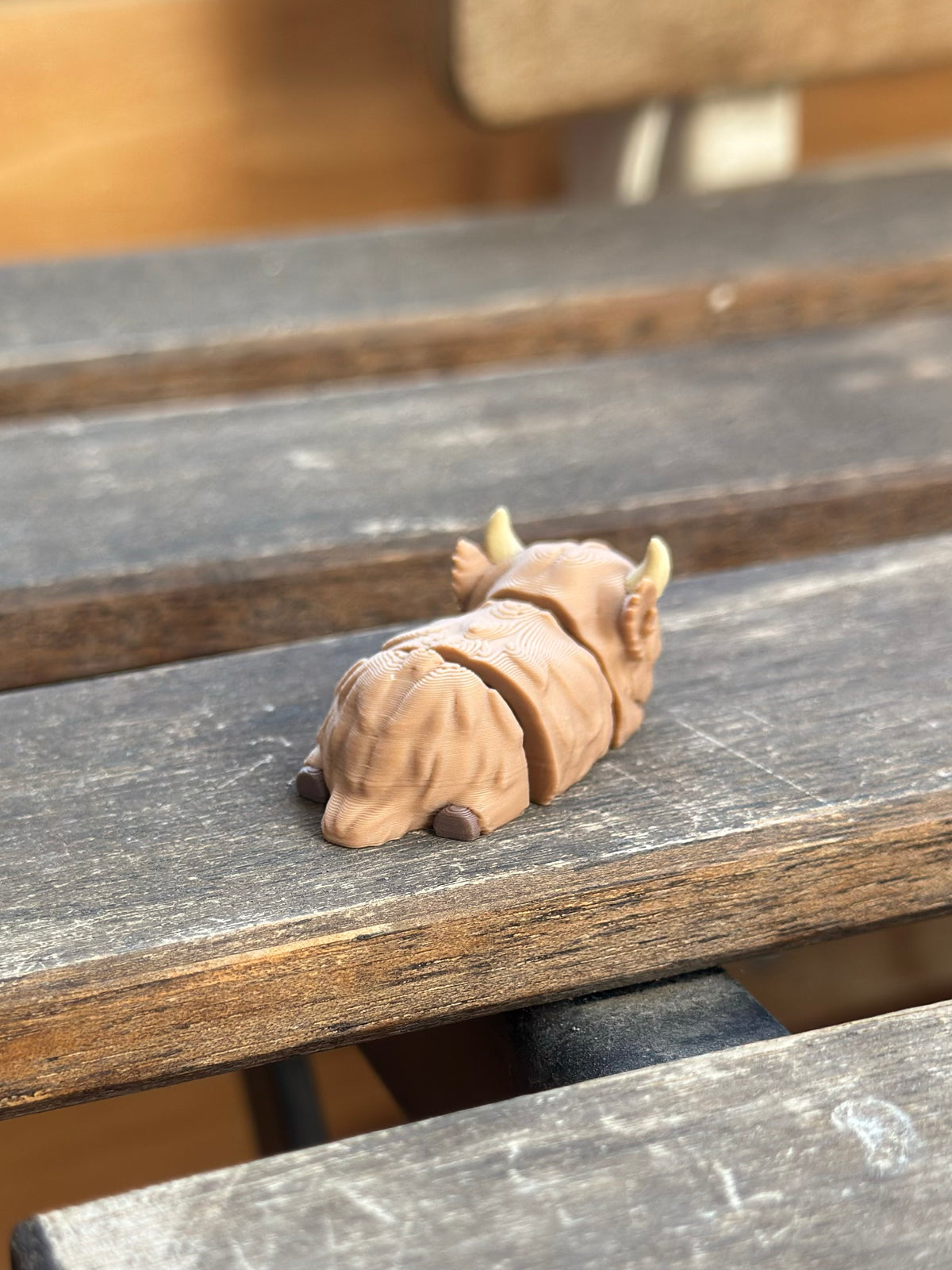 Tufty Hochlandrind