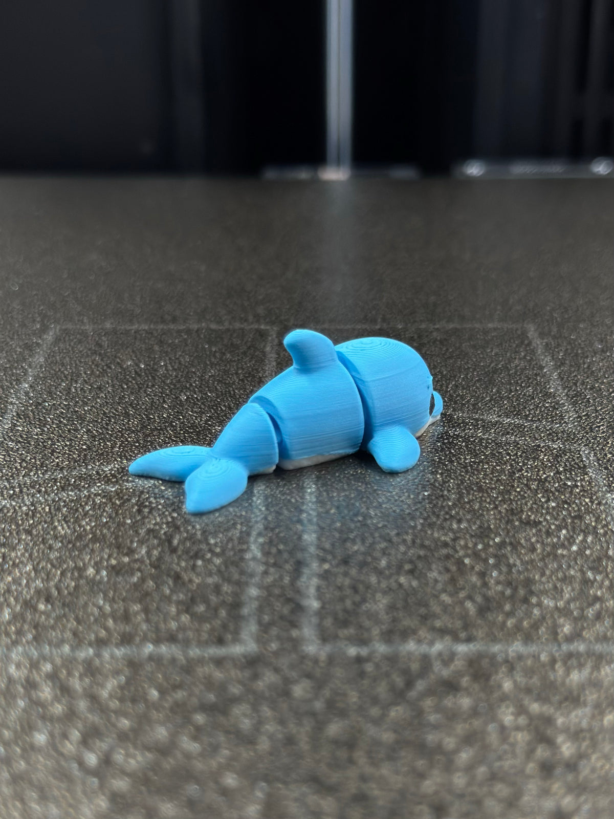 Swik Delfin