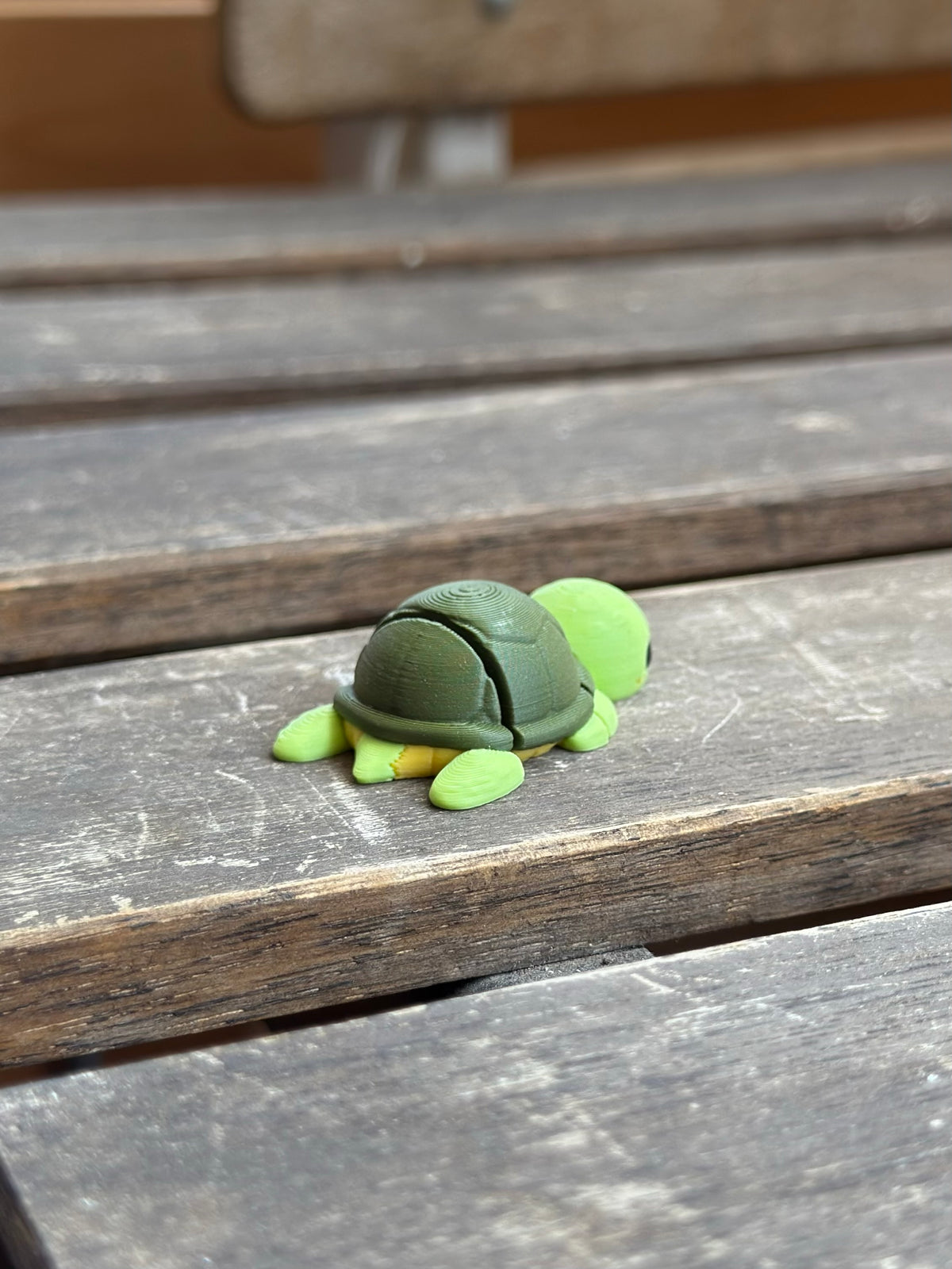 Lou Schildkröte