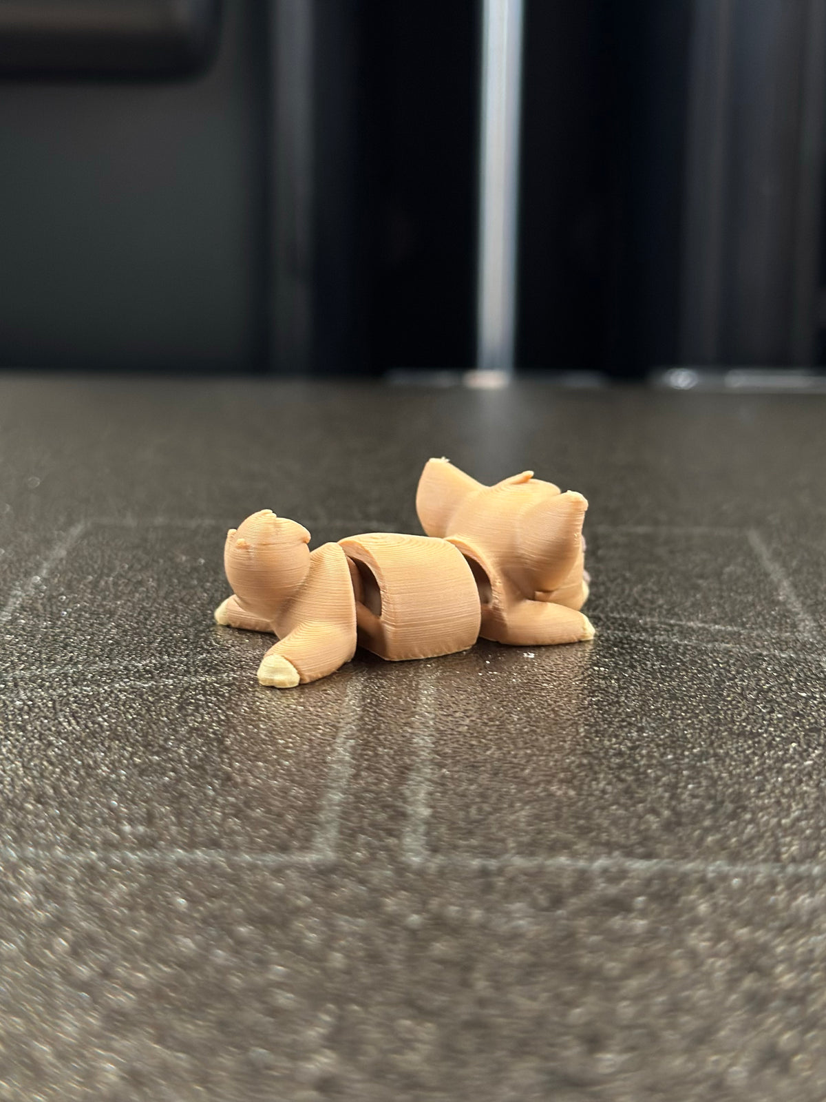 Tofu Hund