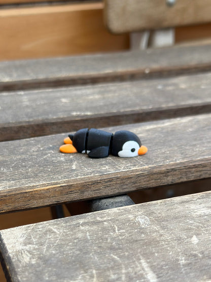 Cangüi Pinguin