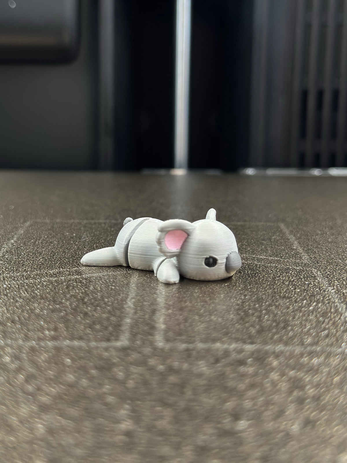 Lumpur Koala