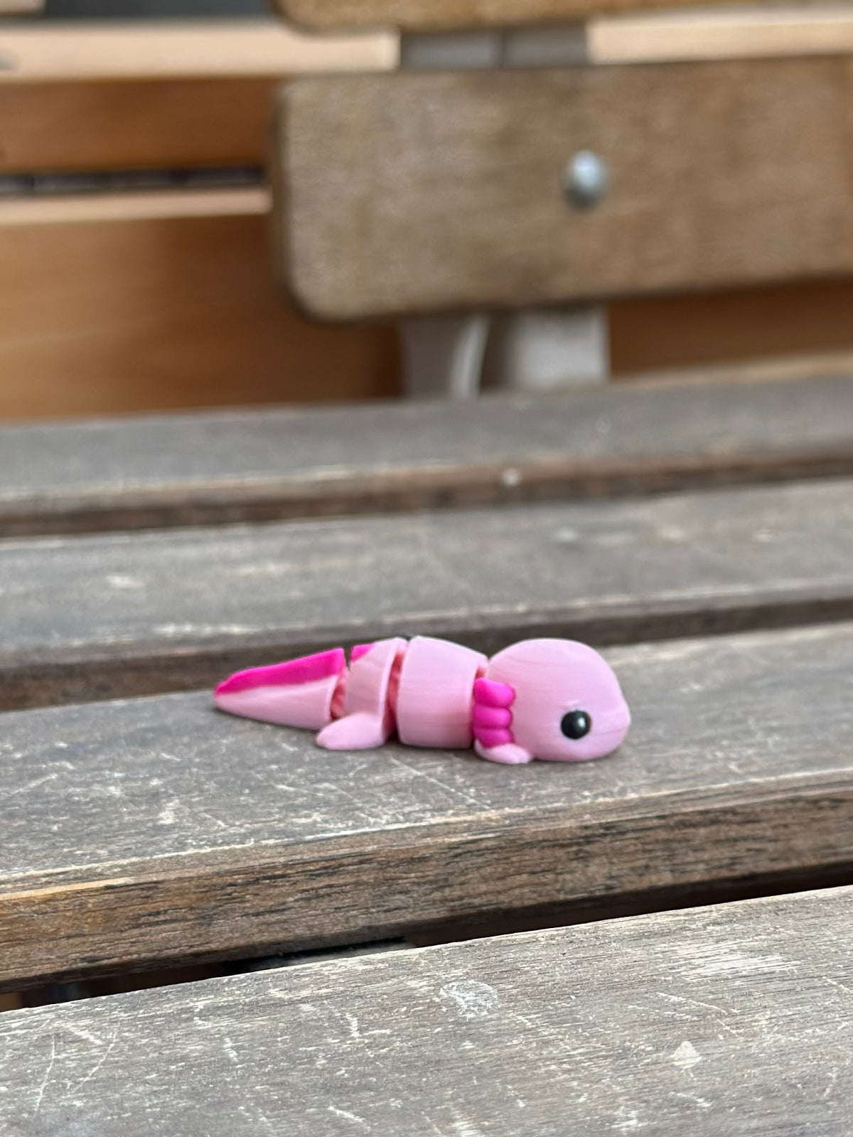 Axen Axolotl