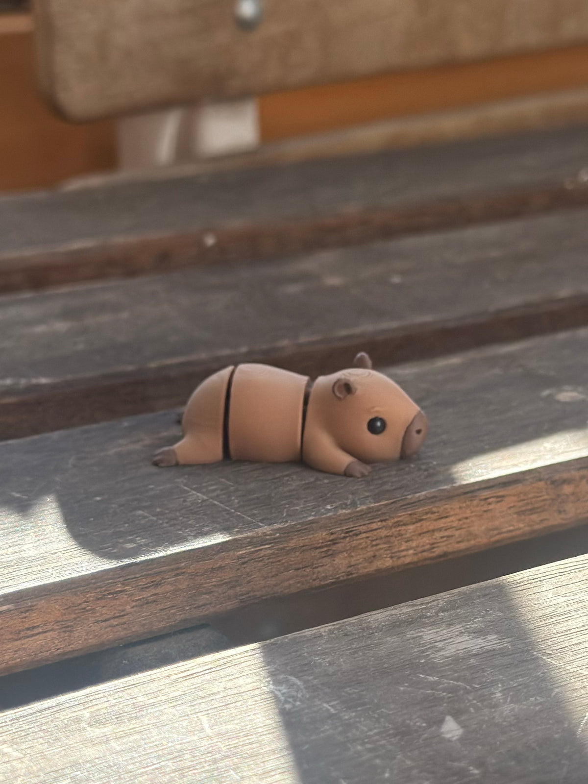Capper Capybara