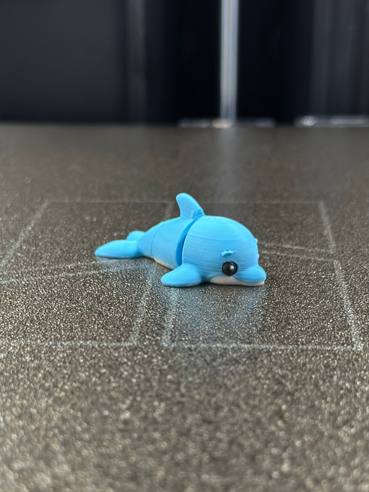Swik Delfin