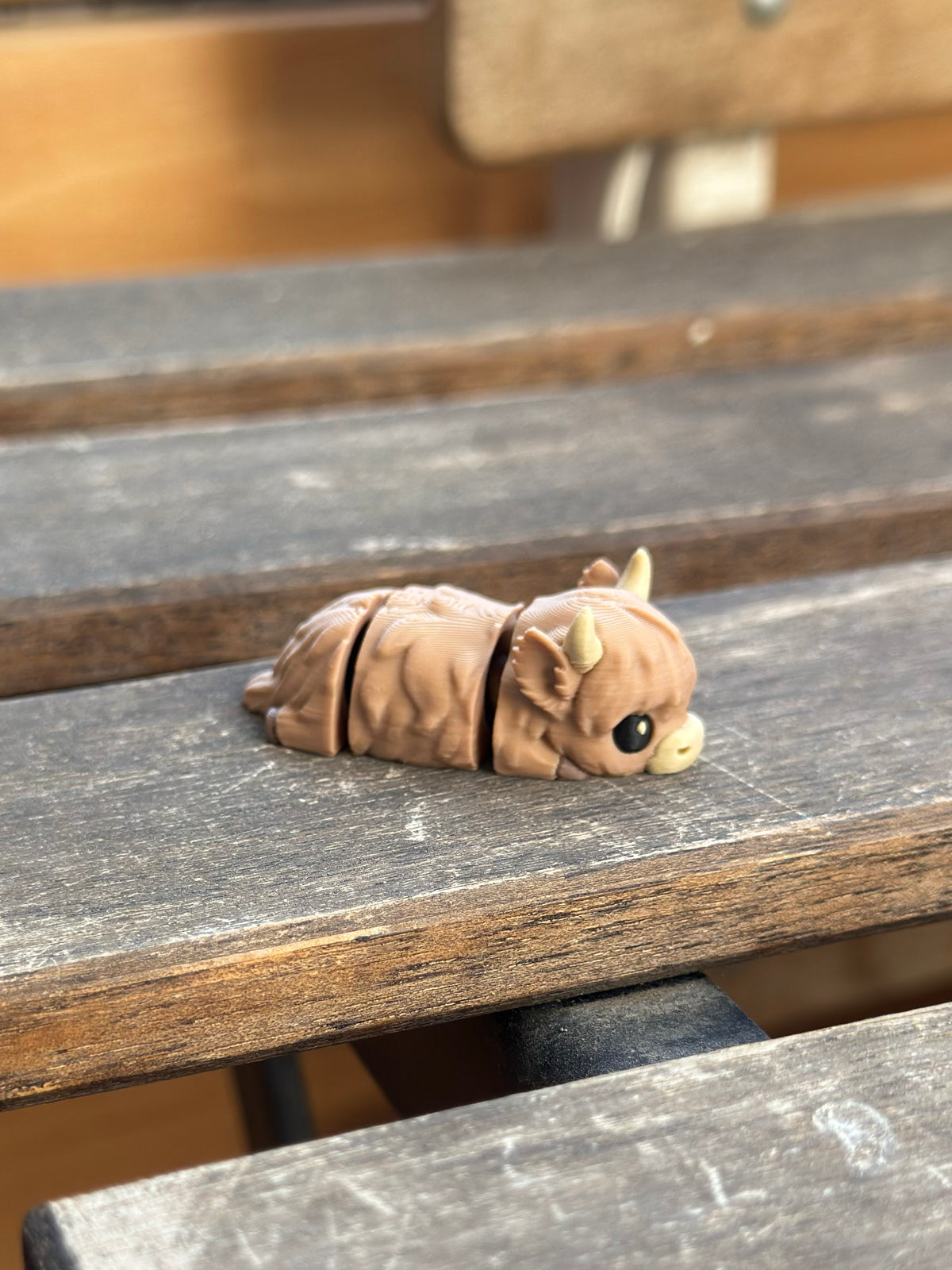 Tufty Hochlandrind