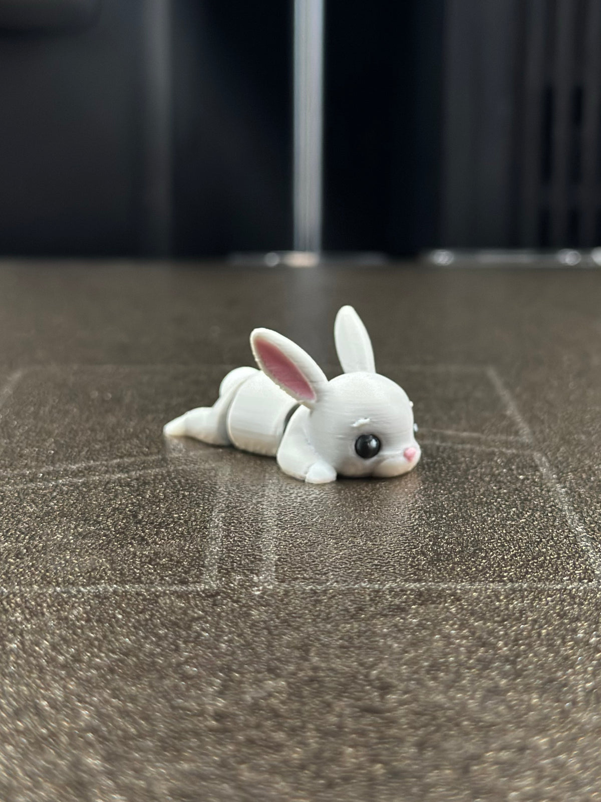 Pompon Hase