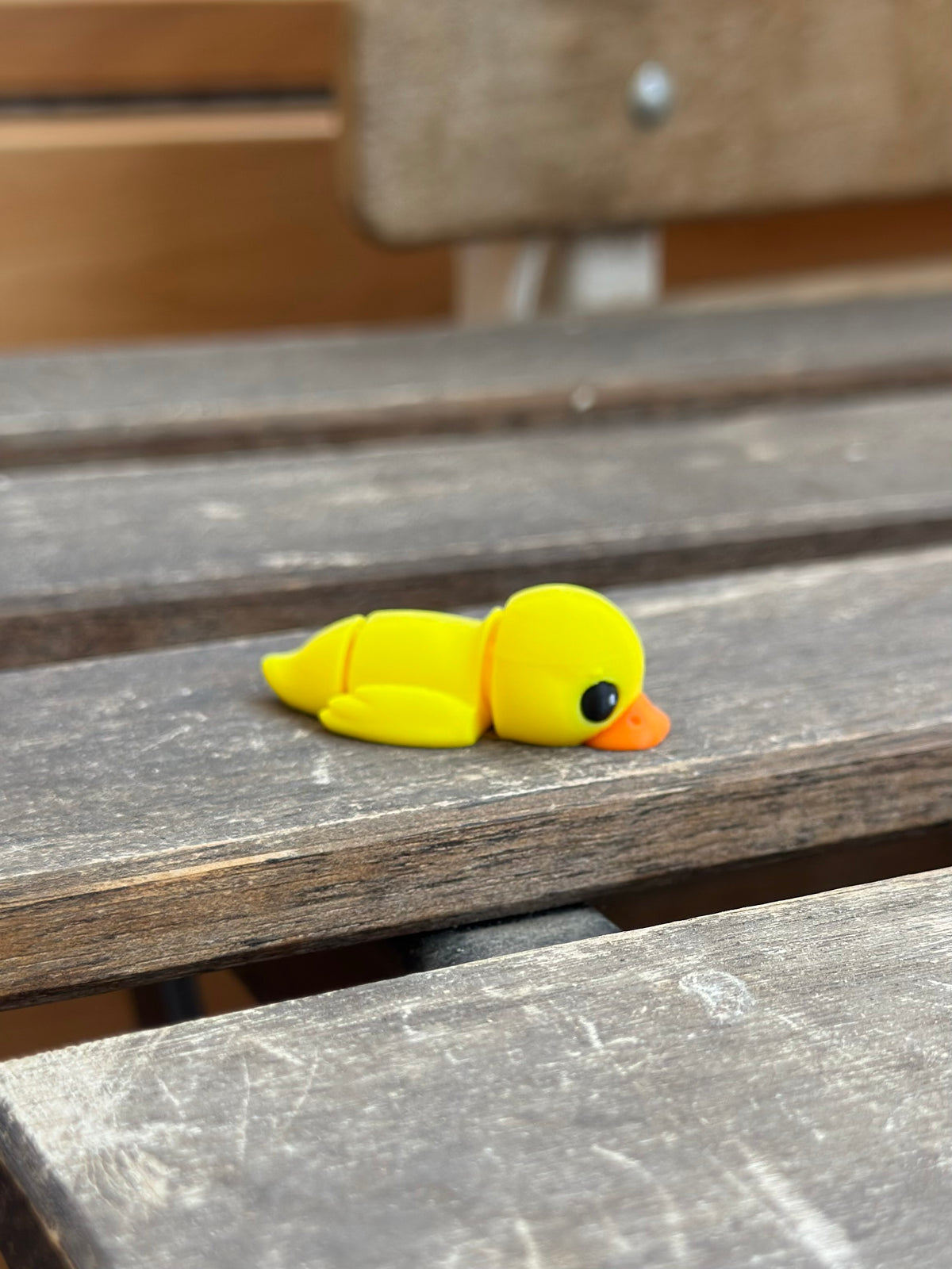 Dabble Ente