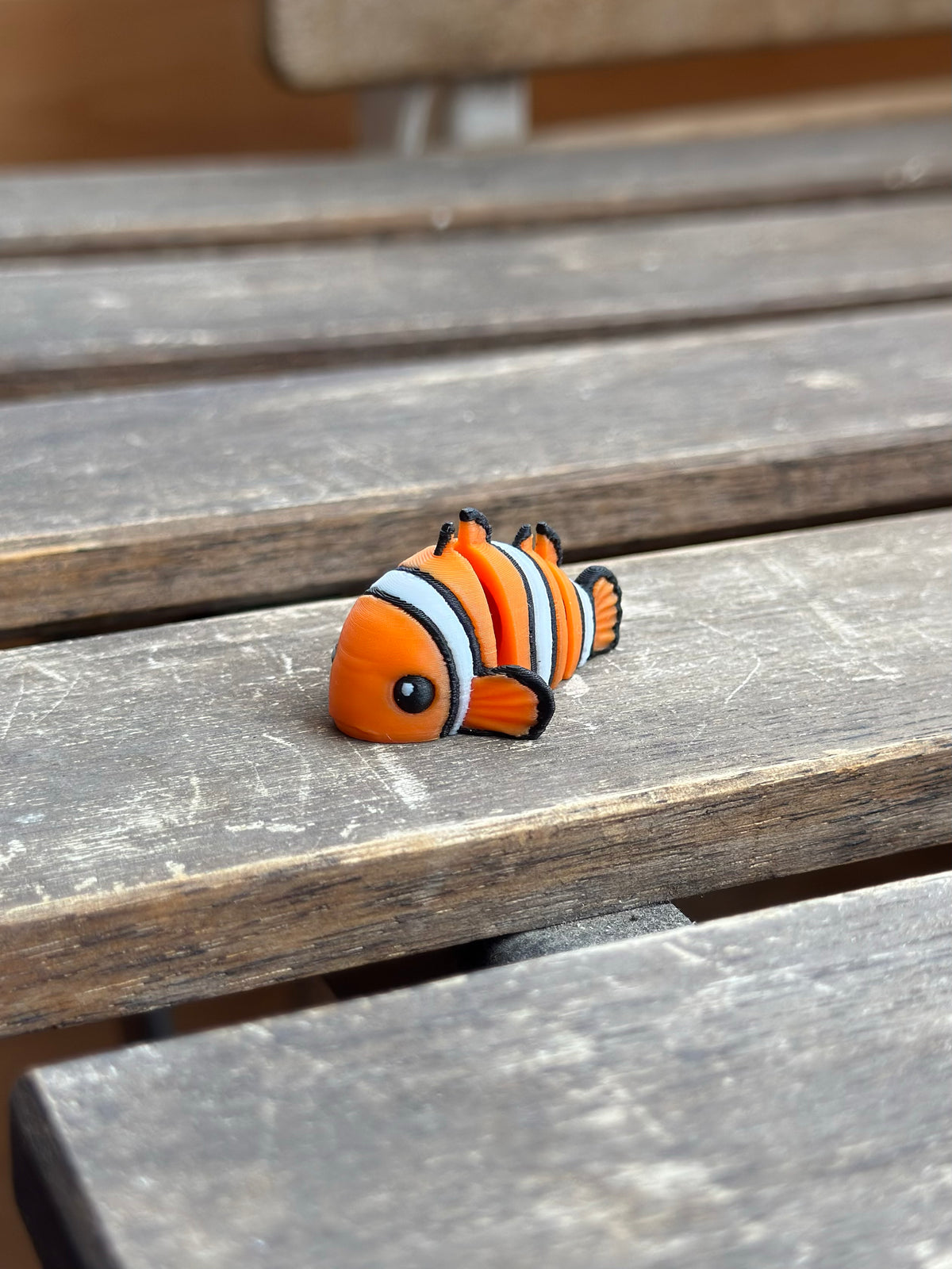 Rayo Clownfisch