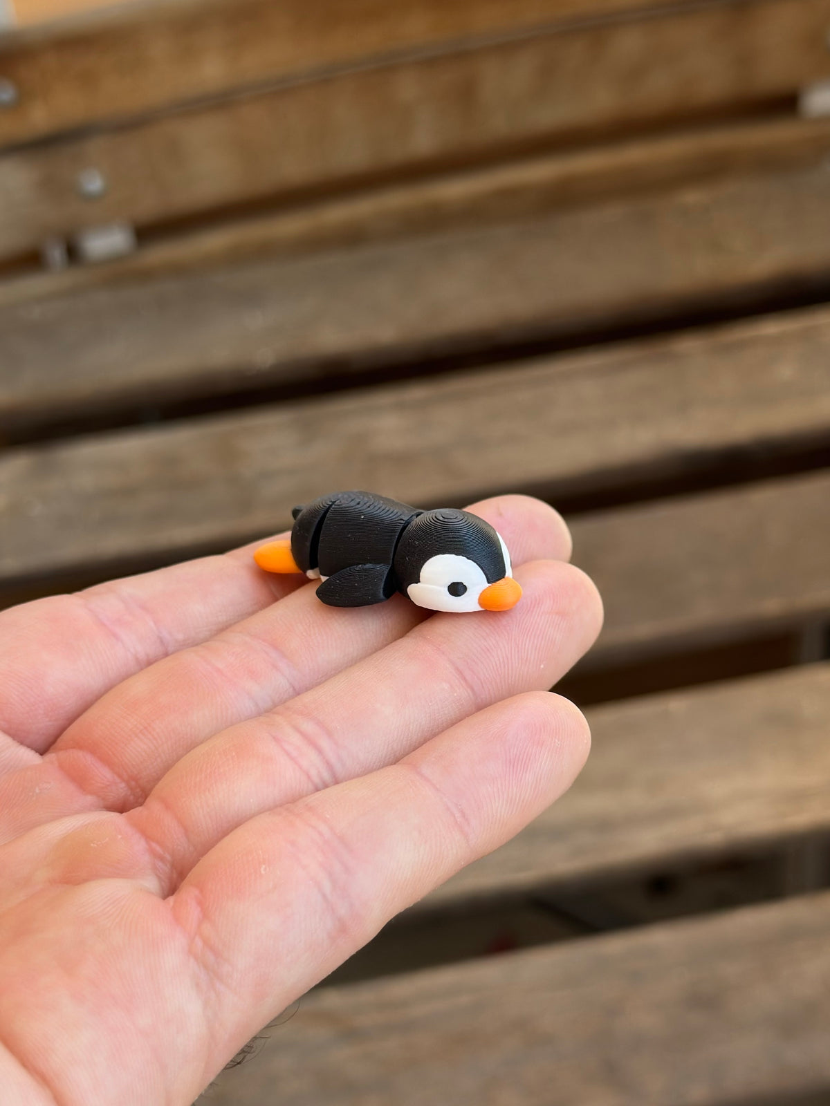 Cangüi Pinguin