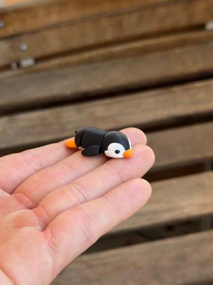 Cangüi Pinguin
