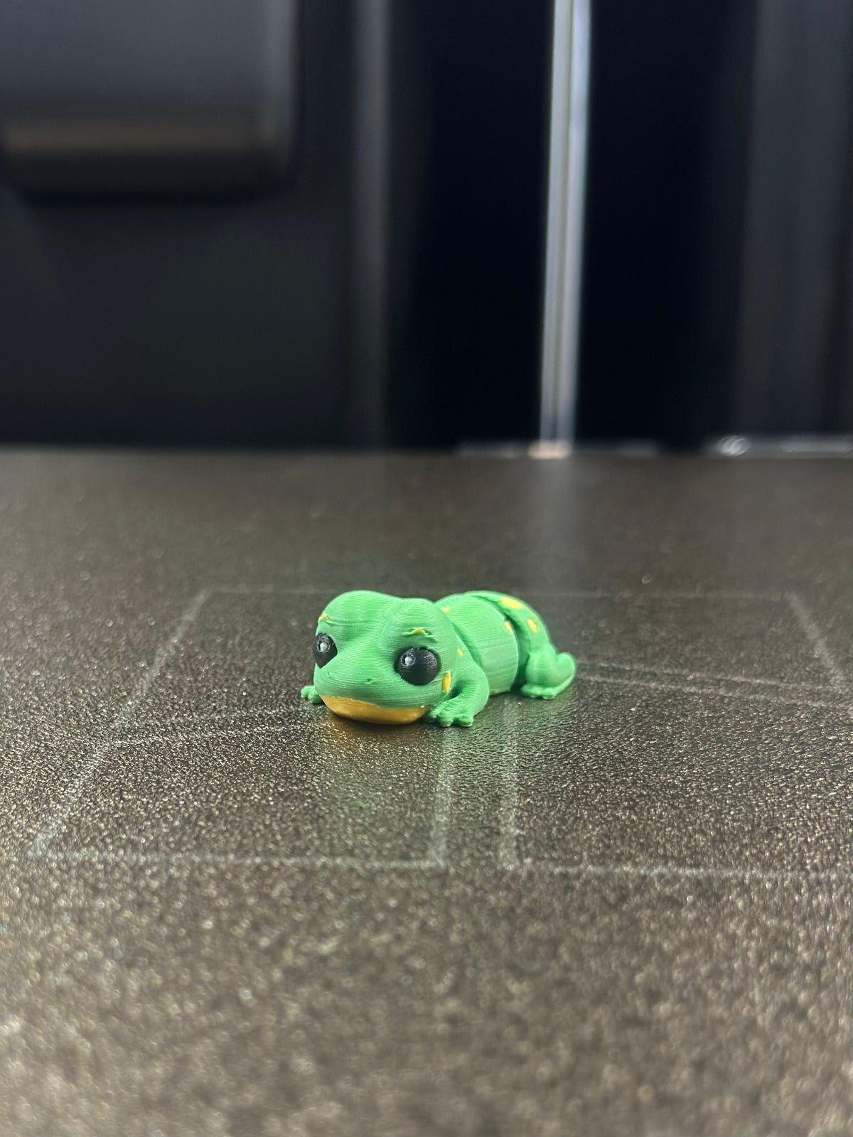 Yampi Frosch