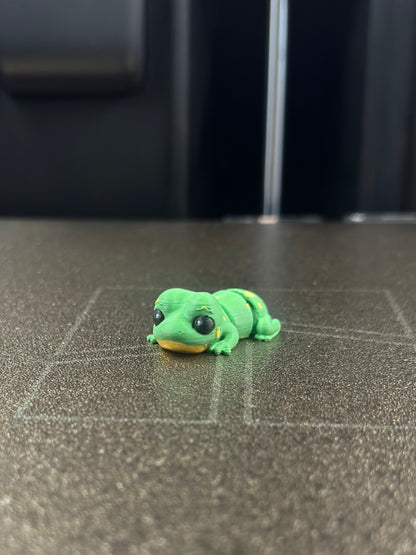 Yampi Frosch