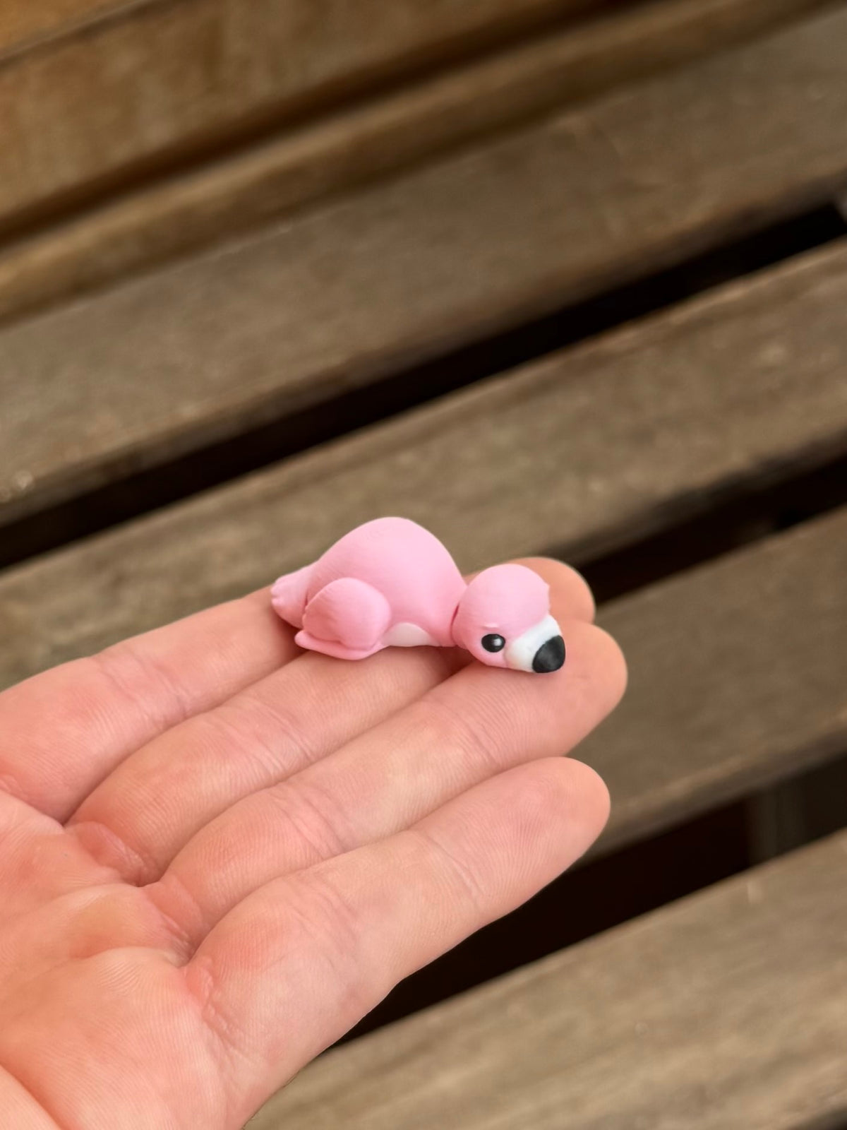 Mingo Flamingo