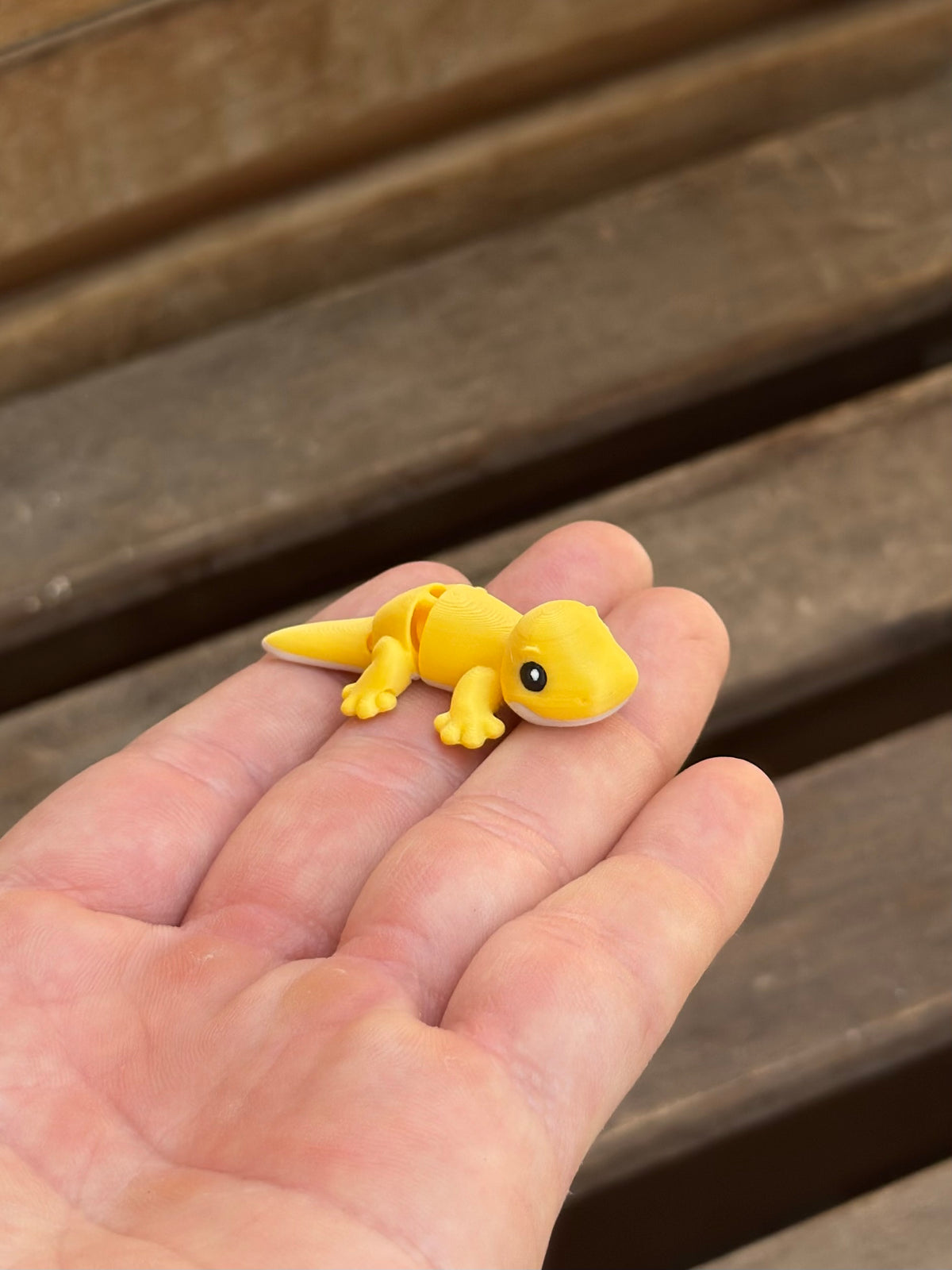 Zeko Gecko